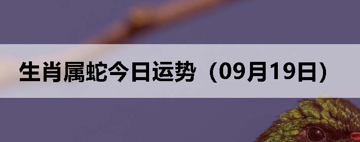 Ф߽ƣ0919գ
