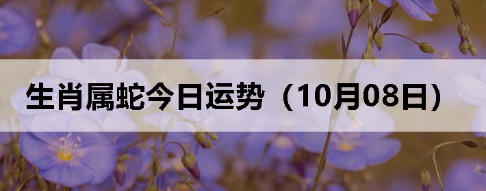 Ф߽ƣ1008գ