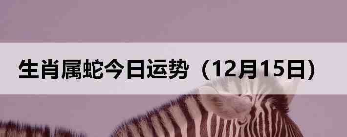 ��Ф���߽������ƣ�12��15�գ�