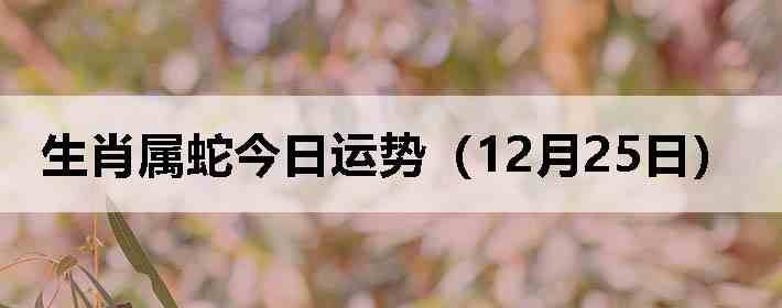 ��Ф���߽������ƣ�12��25�գ�