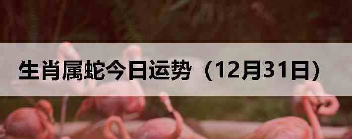 ��Ф���߽������ƣ�12��31�գ�