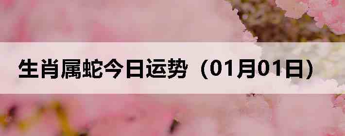 ��Ф���߽������ƣ�01��01�գ�