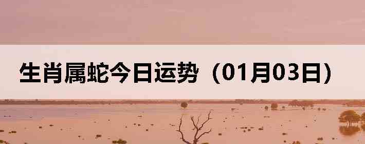 ��Ф���߽������ƣ�01��03�գ�