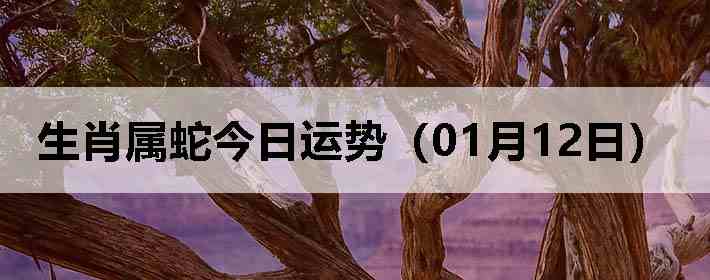 ��Ф���߽������ƣ�01��12�գ�