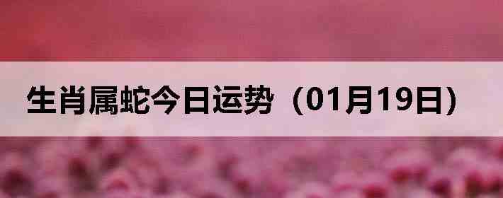 ��Ф���߽������ƣ�01��19�գ�