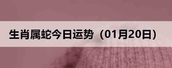 ��Ф���߽������ƣ�01��20�գ�