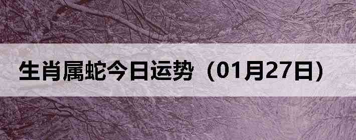 ��Ф���߽������ƣ�01��27�գ�