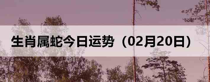 ��Ф���߽������ƣ�02��20�գ�