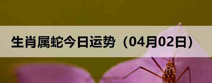 ��Ф���߽������ƣ�04��02�գ�
