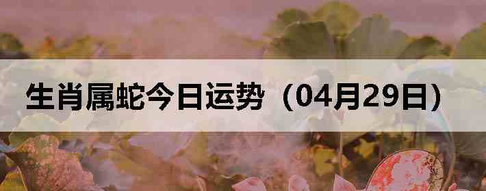 ��Ф���߽������ƣ�04��29�գ�