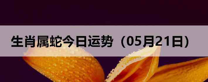 ��Ф���߽������ƣ�05��21�գ�