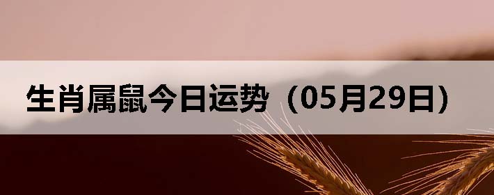 Фƣ0529գ