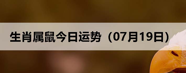 Фƣ0719գ