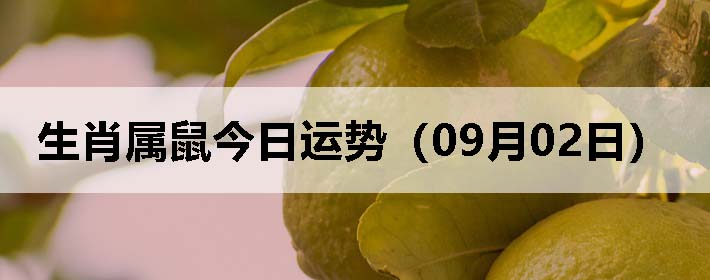 Фƣ0902գ