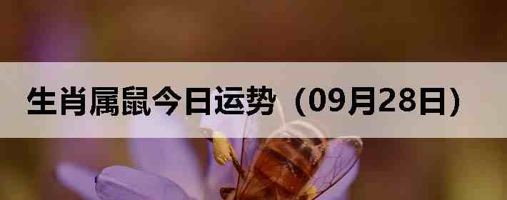 ��Ф����������ƣ�09��28�գ�