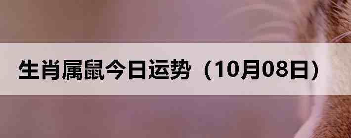 ��Ф����������ƣ�10��08�գ�