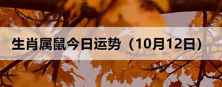 ��Ф����������ƣ�10��12�գ�