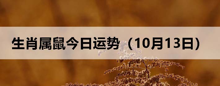 生肖属鼠今日运势(10月13日)