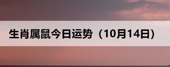 生肖属鼠今日运势(10月14日)