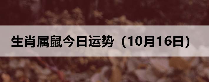 生肖属鼠今日运势(10月16日)
