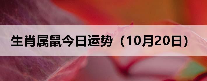 生肖属鼠今日运势(10月20日)