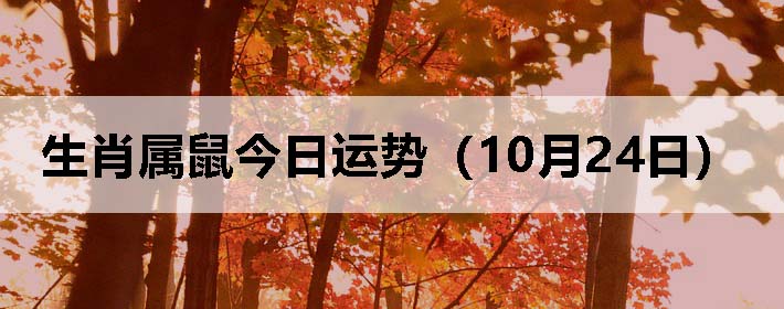 生肖属鼠今日运势(10月24日)