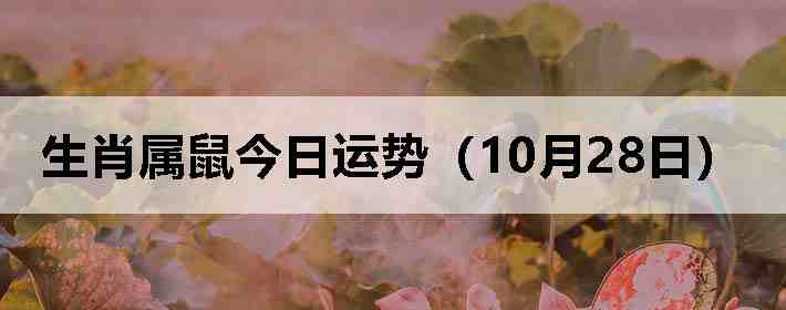 ��Ф����������ƣ�10��28�գ�