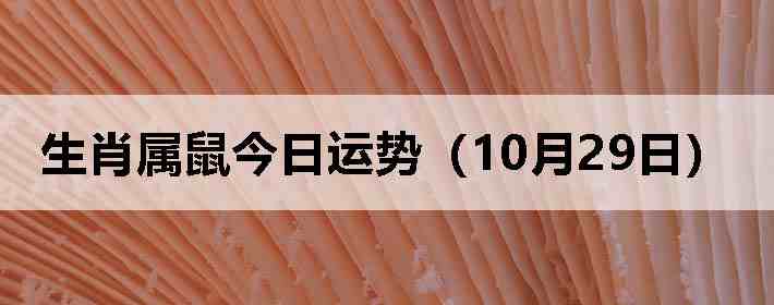 ��Ф����������ƣ�10��29�գ�