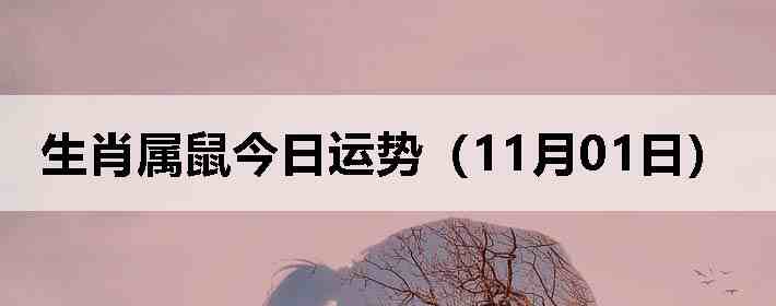 ��Ф����������ƣ�11��01�գ�