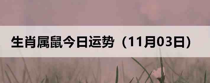 ��Ф����������ƣ�11��03�գ�