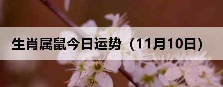 ��Ф����������ƣ�11��10�գ�