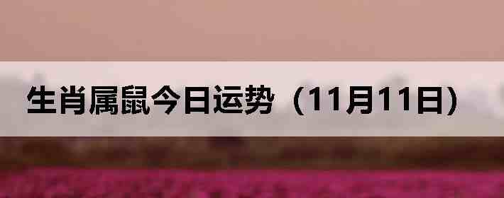 ��Ф����������ƣ�11��11�գ�