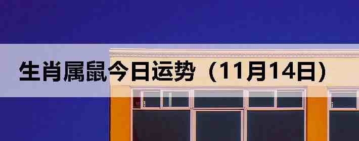 ��Ф����������ƣ�11��14�գ�