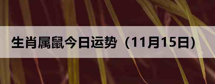 ��Ф����������ƣ�11��15�գ�