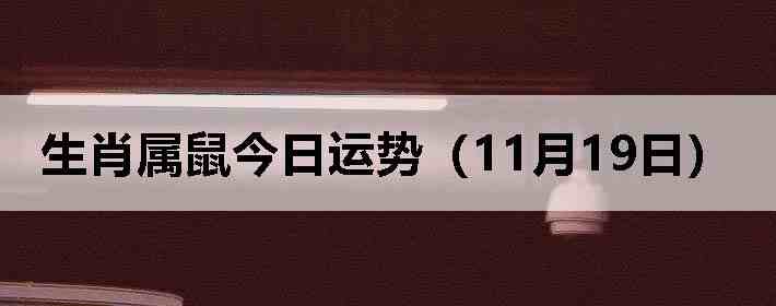 ��Ф����������ƣ�11��19�գ�