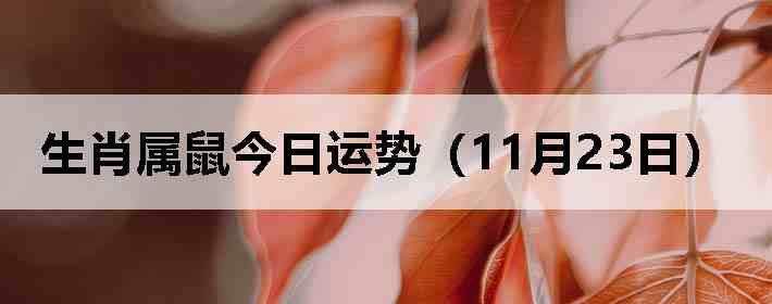 ��Ф����������ƣ�11��23�գ�