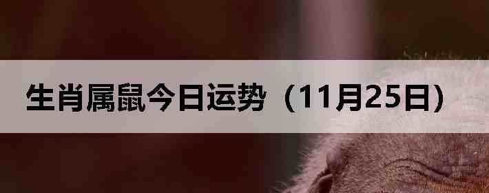 ��Ф����������ƣ�11��25�գ�