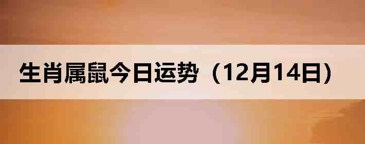 ��Ф����������ƣ�12��14�գ�