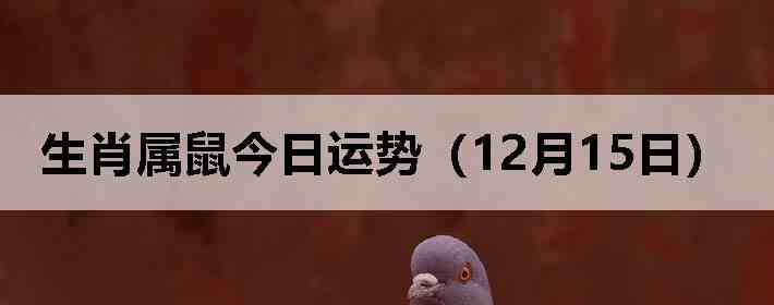 ��Ф����������ƣ�12��15�գ�