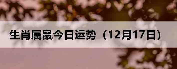 ��Ф����������ƣ�12��17�գ�