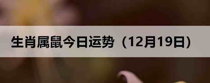 ��Ф����������ƣ�12��19�գ�