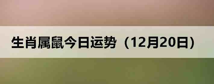 ��Ф����������ƣ�12��20�գ�