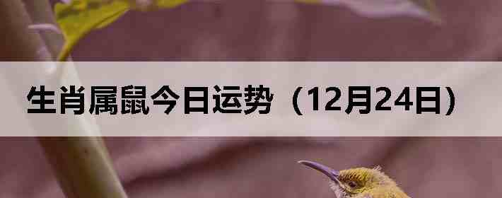 ��Ф����������ƣ�12��24�գ�