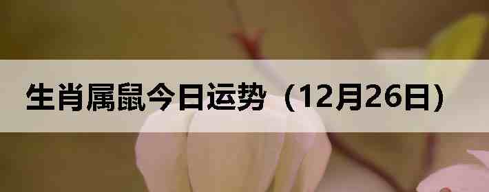 ��Ф����������ƣ�12��26�գ�