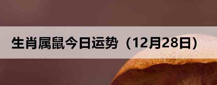 ��Ф����������ƣ�12��28�գ�