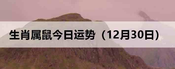 ��Ф����������ƣ�12��30�գ�