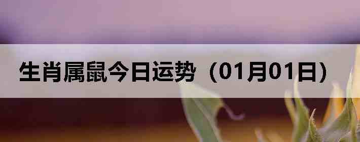 ��Ф����������ƣ�01��01�գ�