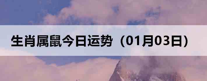 ��Ф����������ƣ�01��03�գ�