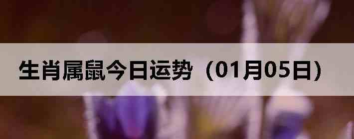 ��Ф����������ƣ�01��05�գ�