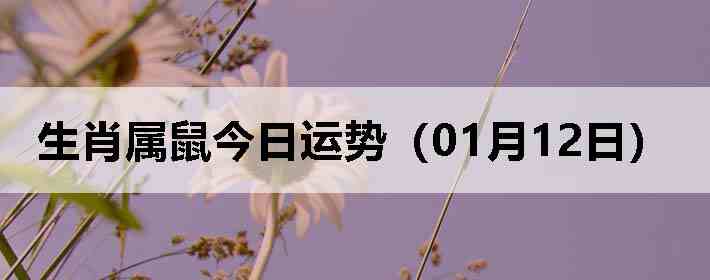 ��Ф����������ƣ�01��12�գ�